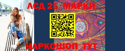 spice Новодвинск
