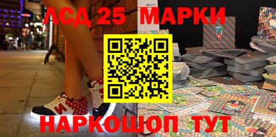 spice Новодвинск