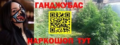 spice Новодвинск