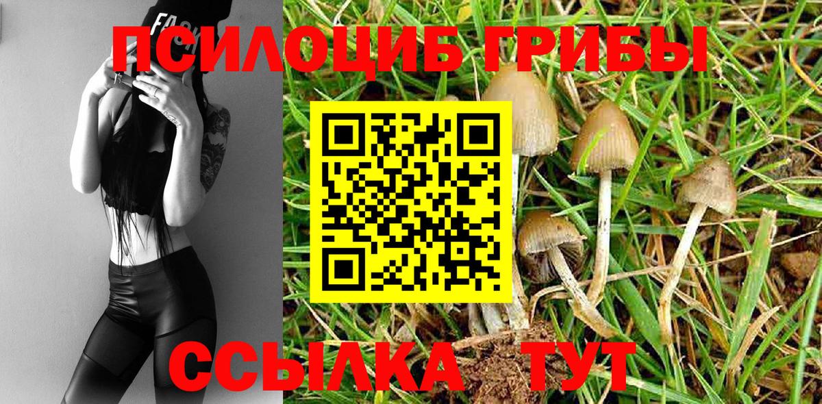 Галлюциногенные грибы GOLDEN TEACHER Хасавюрт