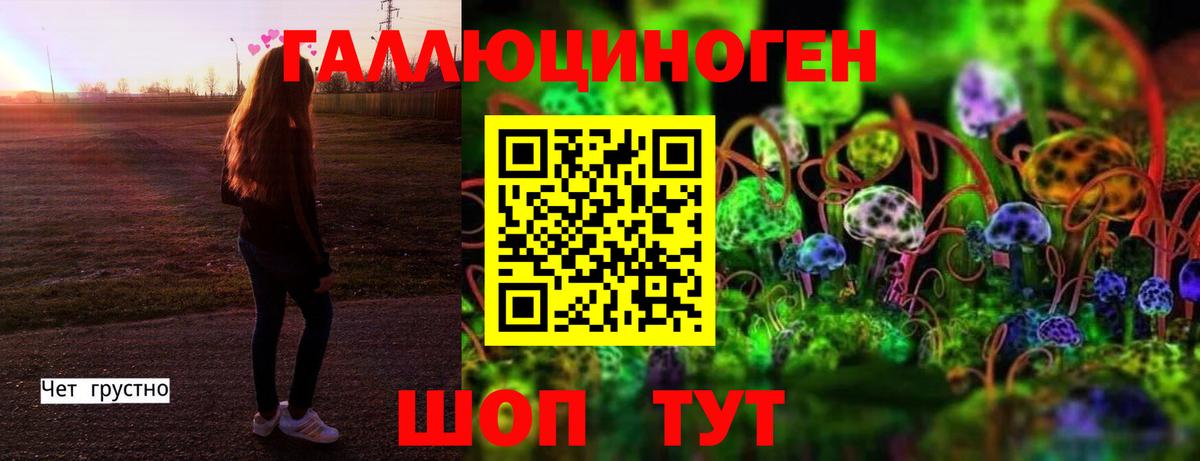 Псилоцибиновые грибы MAGIC MUSHROOMS  Вход с VPN  Хасавюрт 